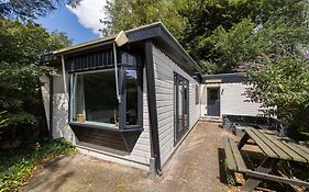 Rustig Gelegen Vakantiehuisje In Het Bos - Putten